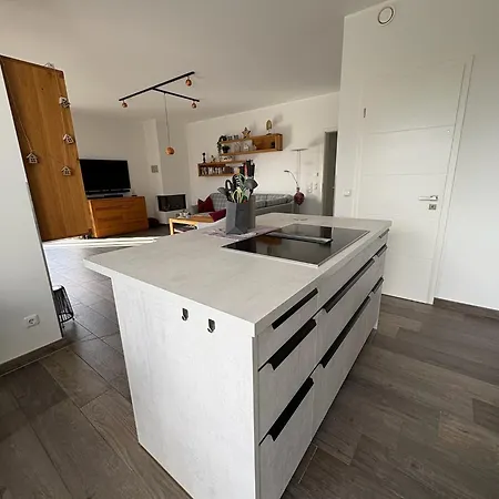 Brisare 고렌레빈